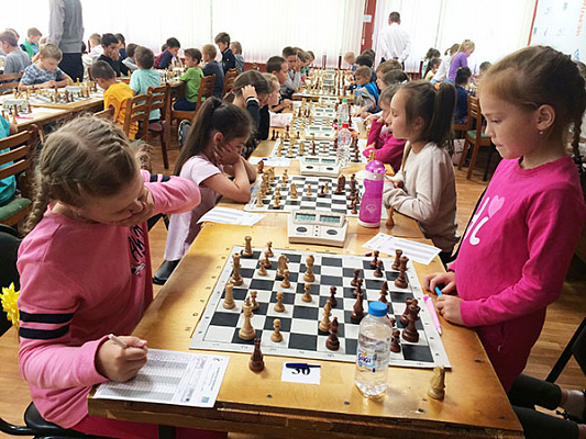 В Набережных Челнах начался региональный турнир «Chelny open - 2019»