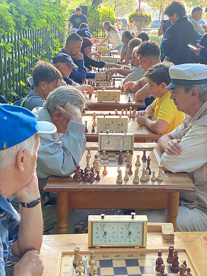 В Летнем саду Санкт-Петербурга провели большой шахматный праздник