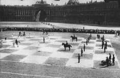 В Санкт-Петербурге с размахом отметят День шахмат